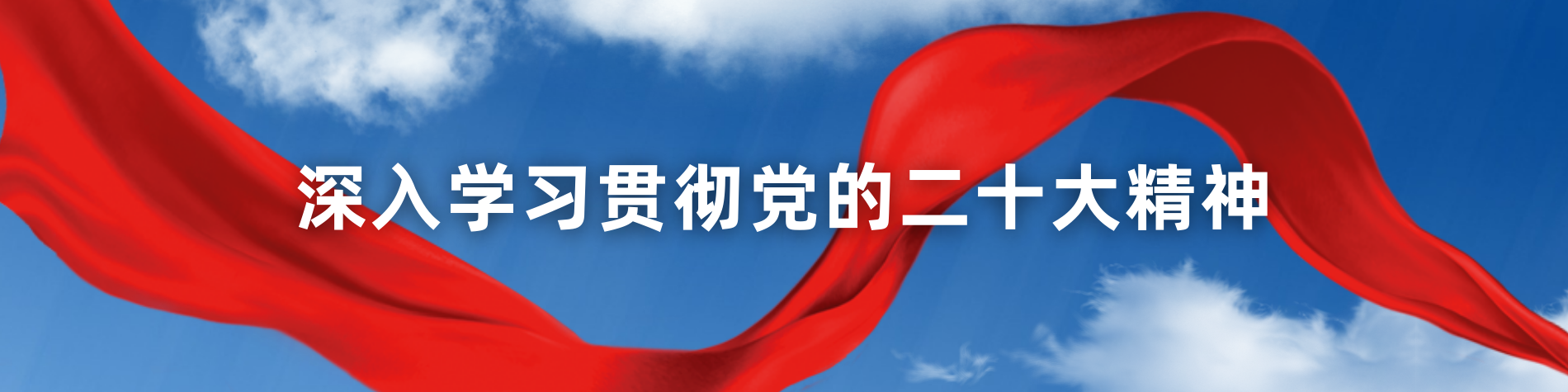 深入學習貫徹黨的二十大精神